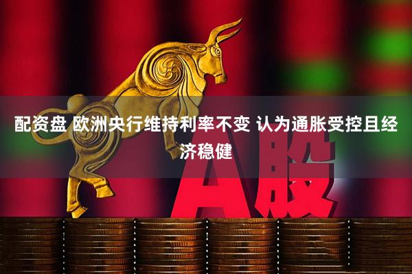 配资盘 欧洲央行维持利率不变 认为通胀受控且经济稳健